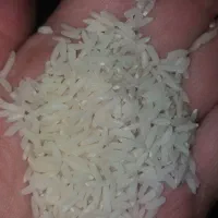 برنج ایرانی ۱۰۰هزار|خوردنی و آشامیدنی|چهارباغ, |دیوار