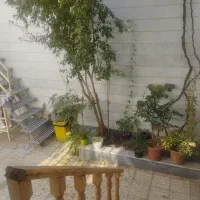 فروش خانه صد متری در قیامدشت