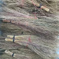 فروش جارو دسته ای ۱۰۰