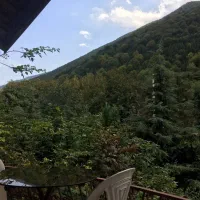 ماهانه چوبی دوبلکس با بهار خواب|اجارهٔ خانه و ویلا|کلاردشت, |دیوار