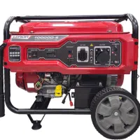 موتور برق 10 کیلو وات لانسین آلمان