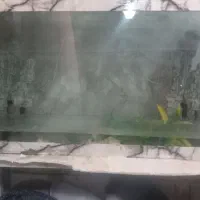 آکواریوم|ماهی|زابل, |دیوار