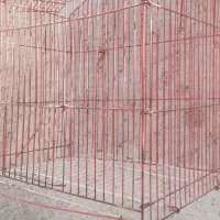 قفس پرنده|لوازم جانبی حیوانات|جهرم, |دیوار