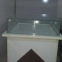 قفسه / ویترین / دکور