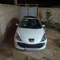 207دنده پانارینگ خشک