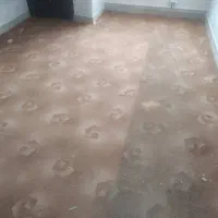 موکت