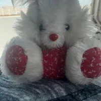 نظافتچی منزل