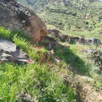 راهنمایی کسب و کار