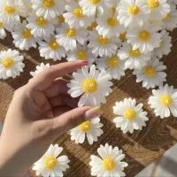 شمع گل بابونه