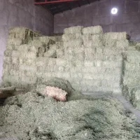 یونجه انباری چین 3و 4خشک درجه یک|عمده‌فروشی|هشتگرد, هشتگرد قدیم|دیوار