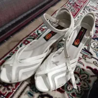 کفش مجلسی|کیف، کفش، کمربند|رضویه, |دیوار