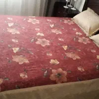 روتختی بادوتارویه بالش