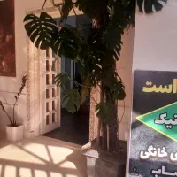 فروش گل و گلدان