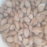بادام|خوردنی و آشامیدنی|بوانات, |دیوار