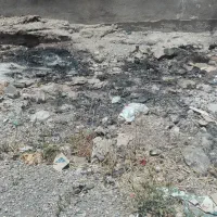 رهن-اجاره