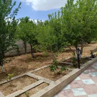 باغچه ۱۰۰۰متری|فروش خانه و ویلا|سیاخ دارنگون, |دیوار