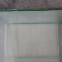 اکواریوم|ماهی|سنندج, |دیوار