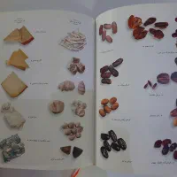 ۲ جلد کتاب آشپزی|کتاب و مجله آموزشی|قم, صفاشهر|دیوار