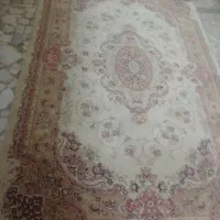 فرش و قالیچه|فرش|رشت, سعدی (تختی)|دیوار