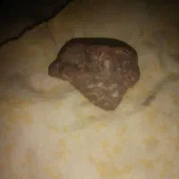 یاقوت راف قرمز به فروش میرسد