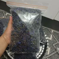 گل گاو زبان تازه