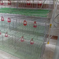 قفس بلدرچین و دستگاه جوجه کشی