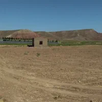 زمین دیم‌ و باغ جدا مناسب سرمایه گزاری دامداری و..