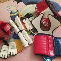 هوگوی تکواندو|تجهیزات ورزشی|خمینی‌شهر, |دیوار