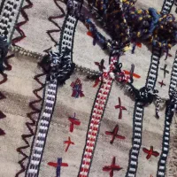 جلو کوهان الاغ و اسب