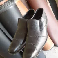 کفش مجلسی نو|کیف، کفش، کمربند|برخوار, |دیوار