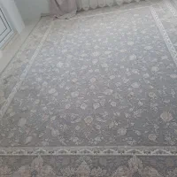 فرش نو|فرش|زنجان, |دیوار