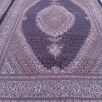 کرم قهوه ای و سرمه ای جفت ششی و دوازده