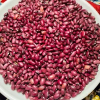 لوبیا قرمز درجه 1