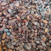 مویز اعلا درجه یک
