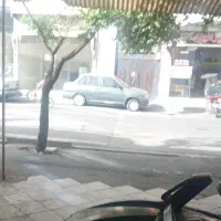 تک-واحدی-مرتضی-گرد