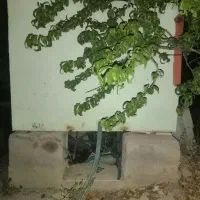 تانکر فلزی (بافت)