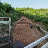 پوسته بادام