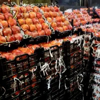 ..آب انار طبیعی خالص..|خوردنی و آشامیدنی|تهران, منیریه|دیوار