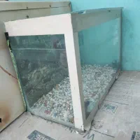 اکواریوم با پمپ هوا نو و سالم|ماهی|مسجد سلیمان, |دیوار