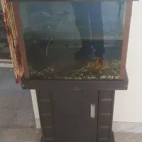 لوازم فروشی|حراج|ری, دیلمان|دیوار