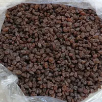 کشمش خشکباری