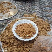 مغز بادام تازه امسال درجه یک مامایی شهرکرد