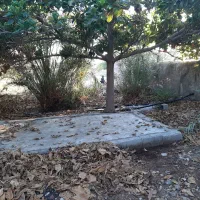 زمین کشاورزی ، روستای چاهستان|فروش دفتر صنعتی، کشاورزی، تجاری|تخت, |دیوار