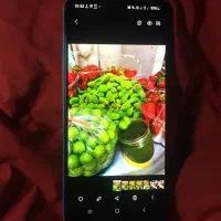 گوشی گلکسی a50|موبایل|رشت, کوی بیانی|دیوار