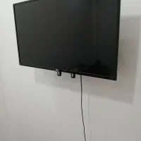 تلویزیون