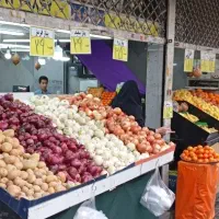 ۱۷متر میوه فروشی و بالکن بر اصلی قصرالدشت با جواز