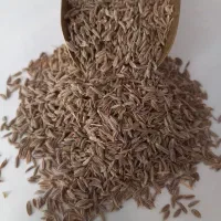 زیره سبز|عمده‌فروشی|قائن, |دیوار