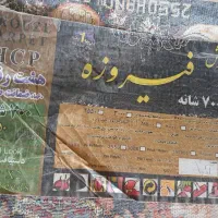 دو عدد فرش ۹متری|فرش|نجفآباد, ویلاشهر|دیوار