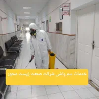 سمپاشی سوسک بامواد گیاهی موریانه زدایی سم پاشی ساس|خدمات نظافت|تهران, میرداماد|دیوار