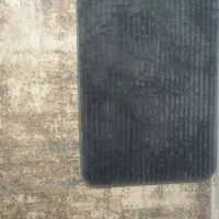 پادری توسی جفت